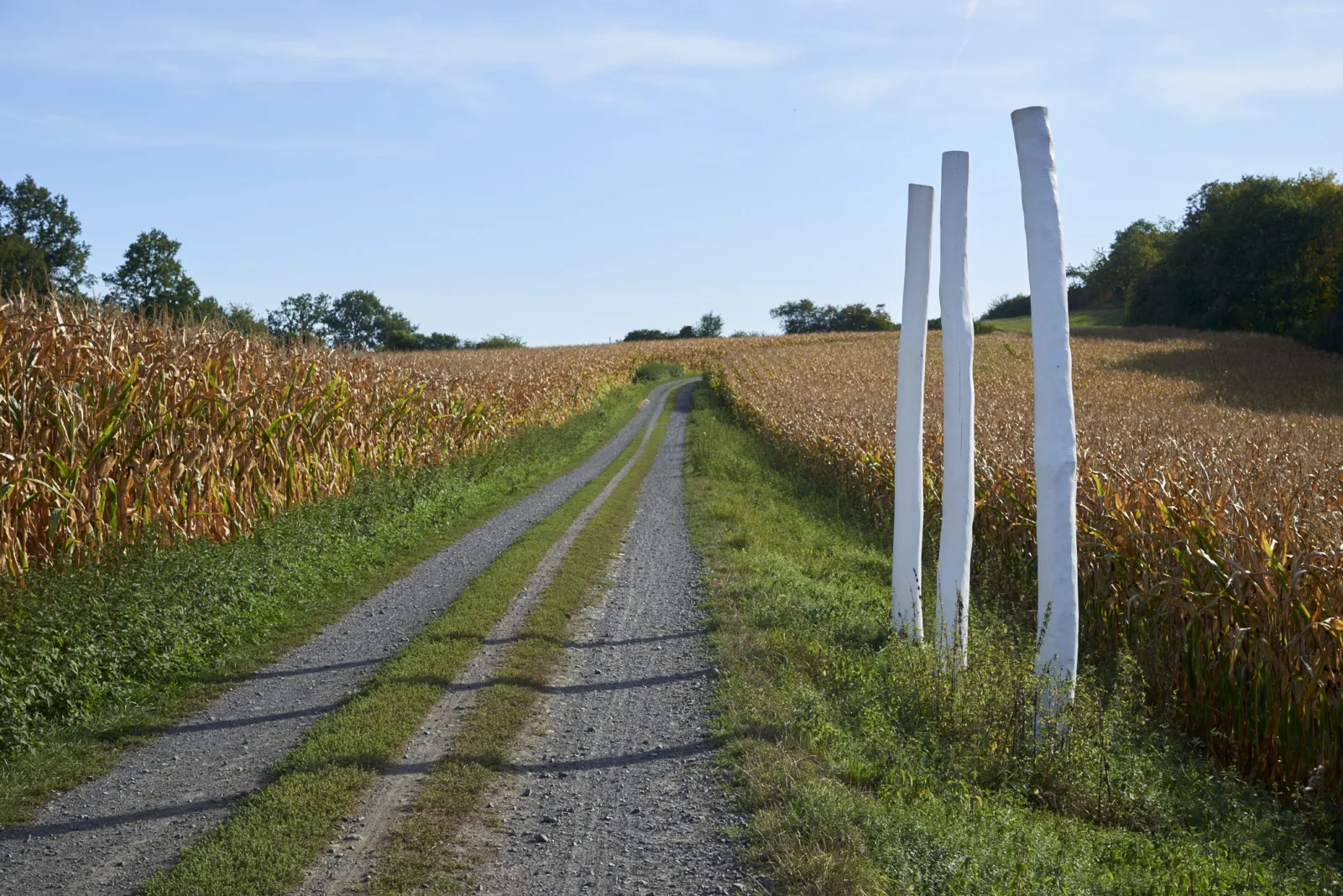 Regionalpark Limesroute