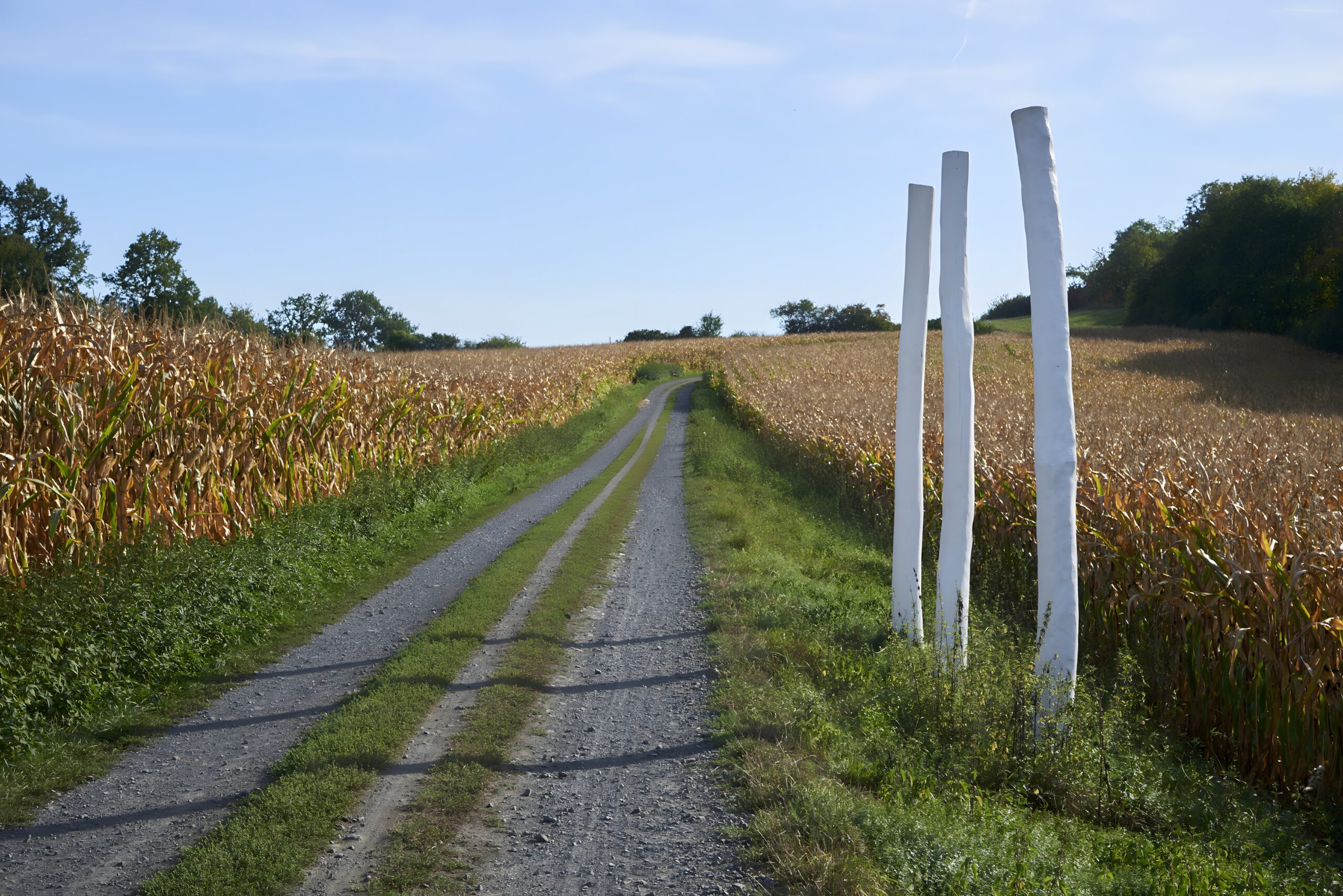 Regionalpark Limesroute