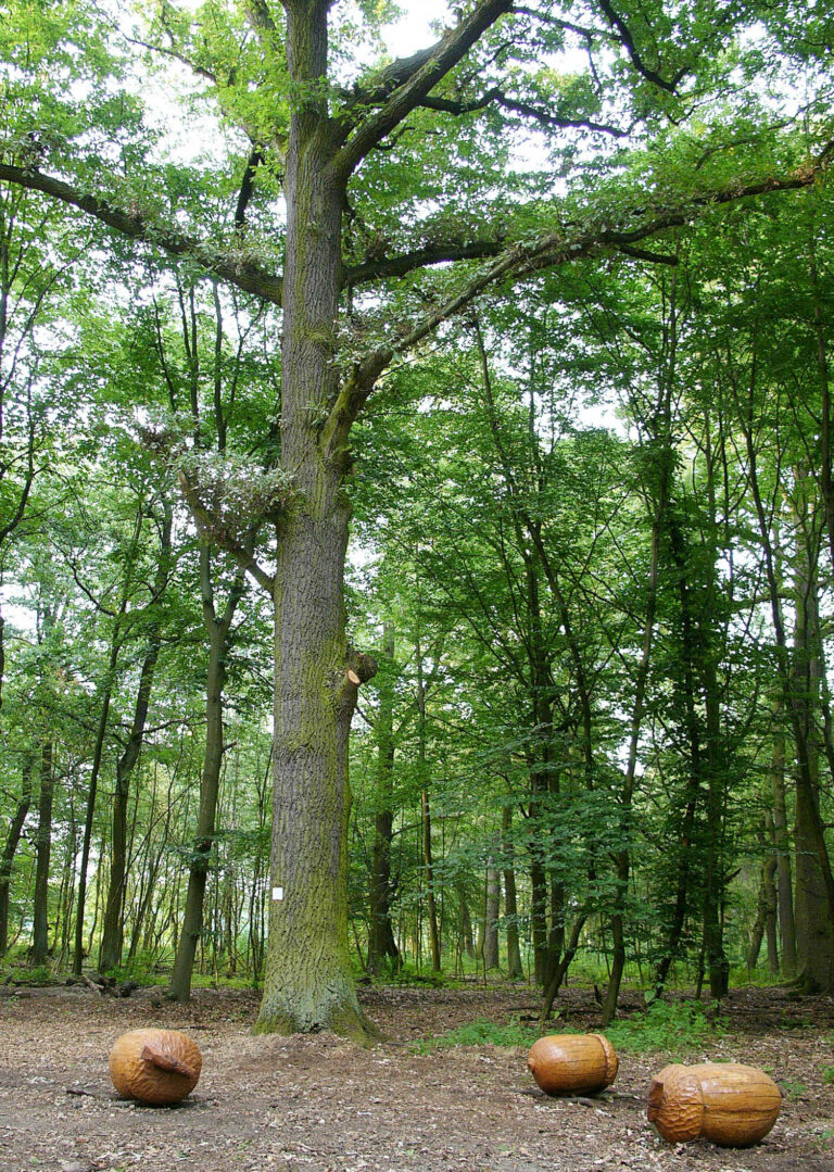 MonsterkindL1090557bausschnitt