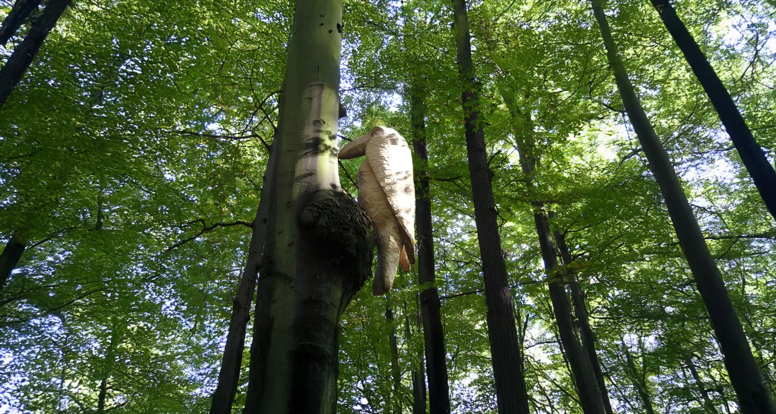 Wächters Komische Baumkunst: Monsterspecht, Frankfurt