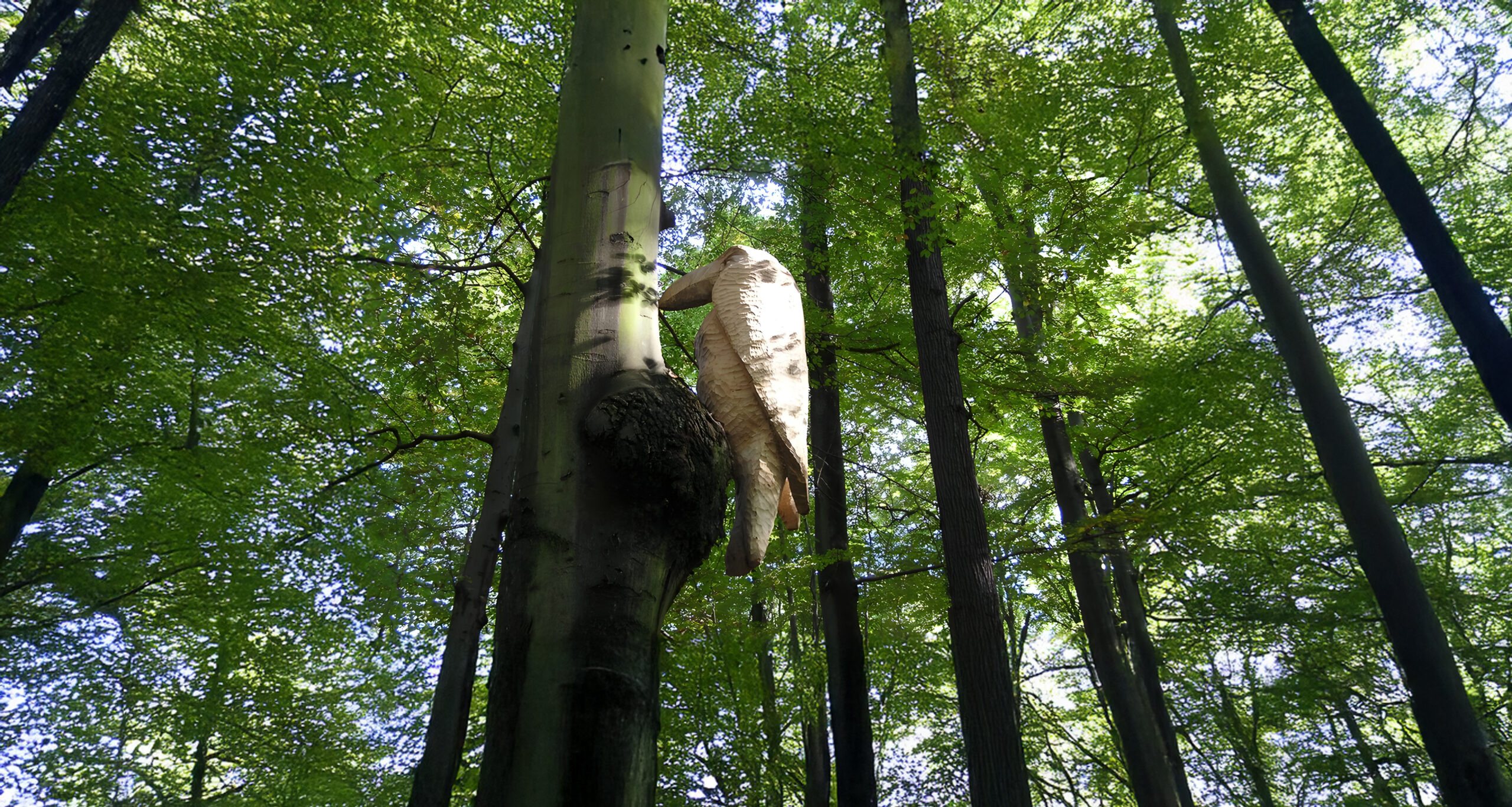 Monsterspecht GrünGürtel