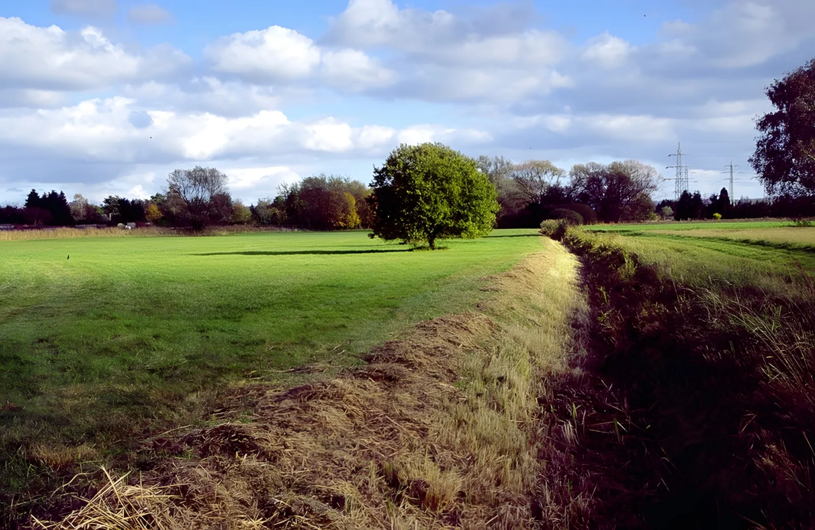 Naturschutzgebiet Kammereckwiesen