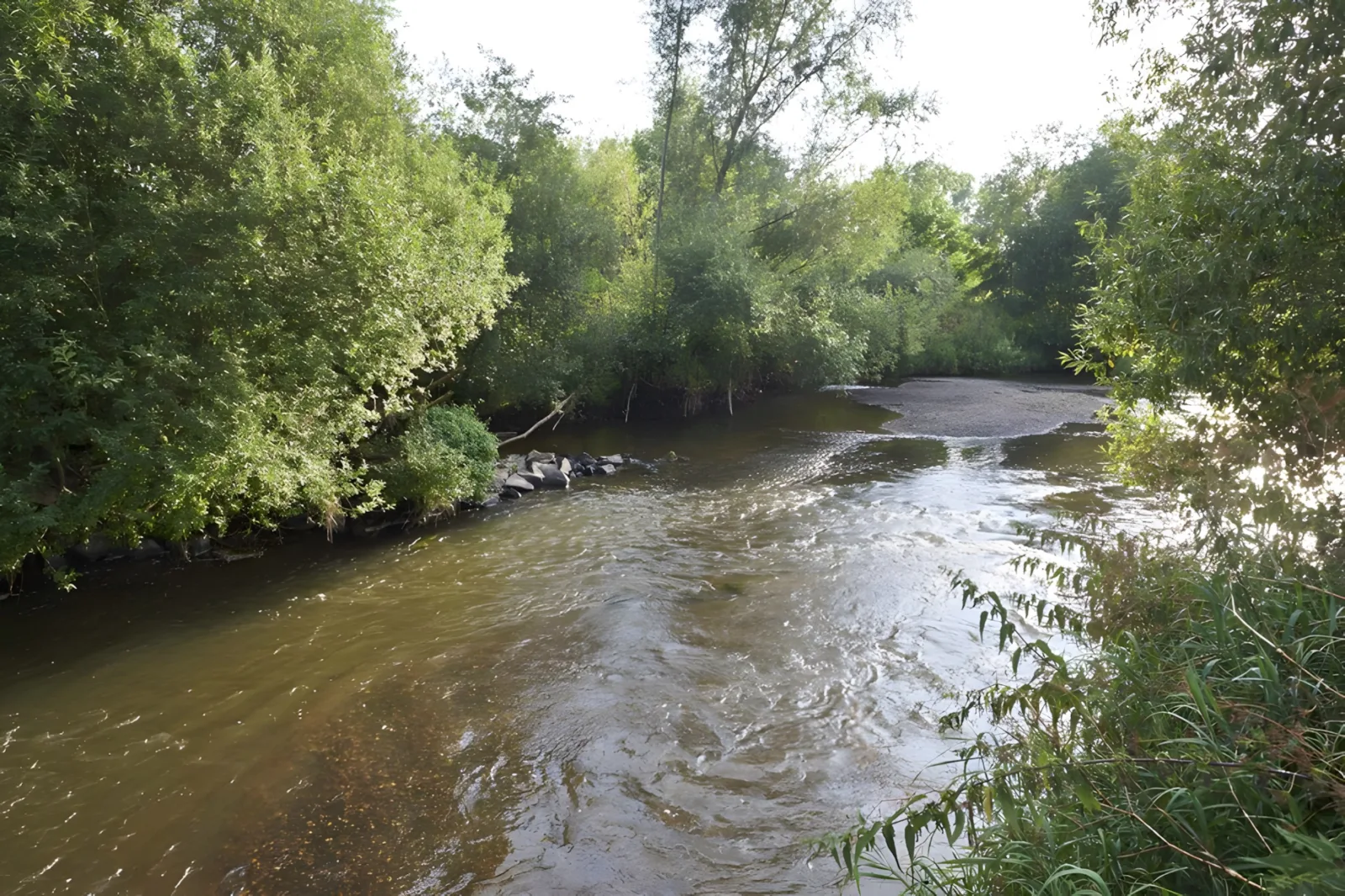 Natura 2000 – Leben am Fluss