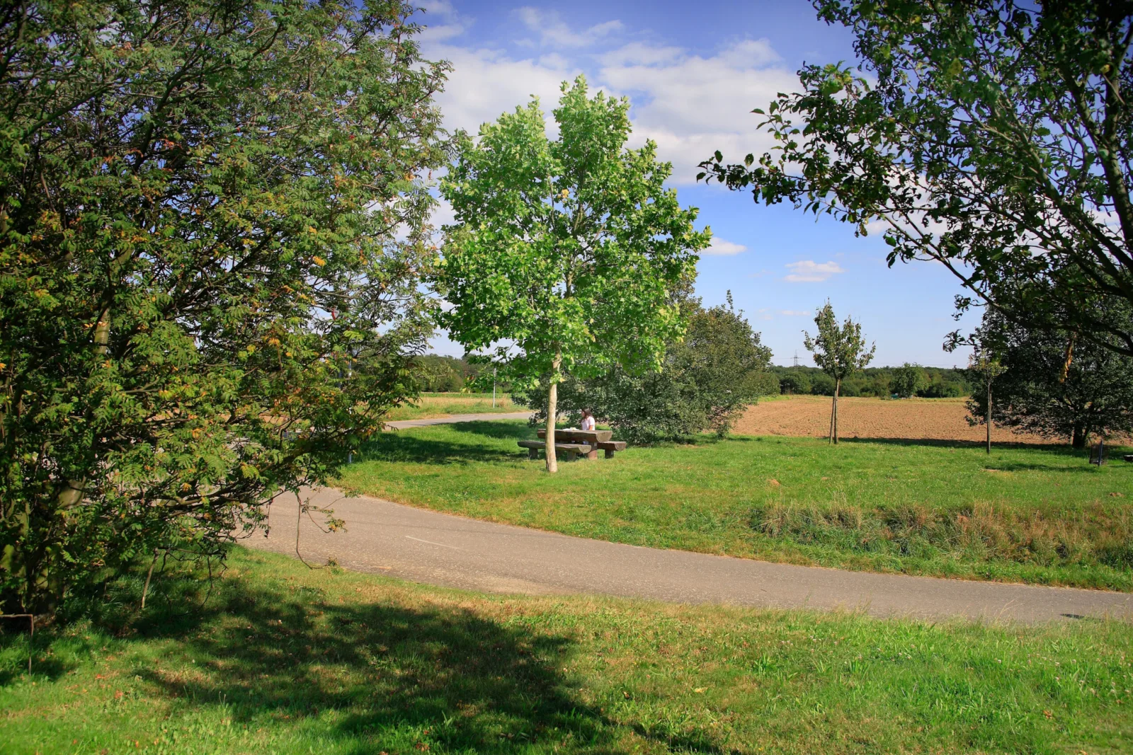 Mittelfeld Kelsterbach