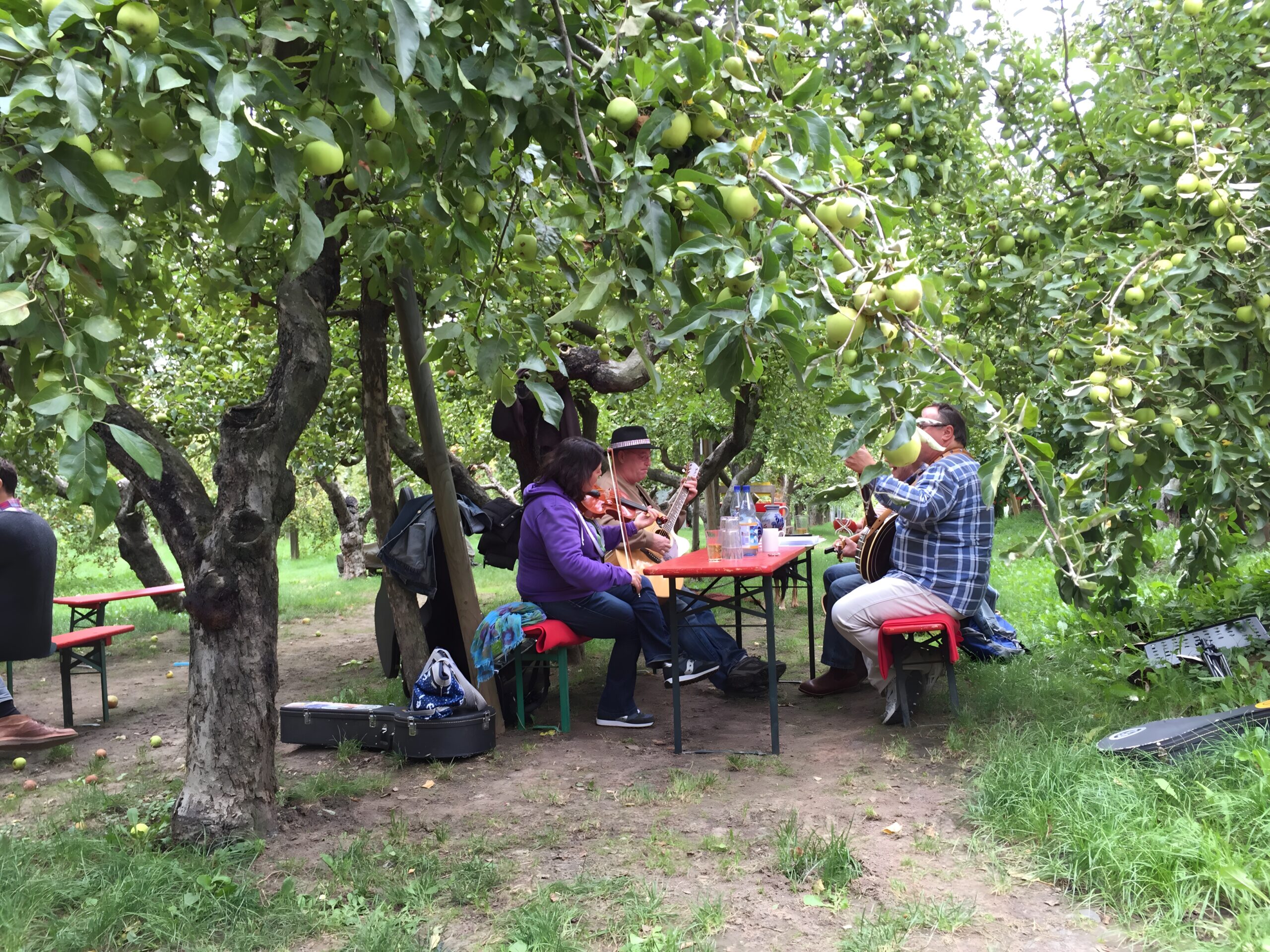 Hofstation Obsthof Am Steinberg