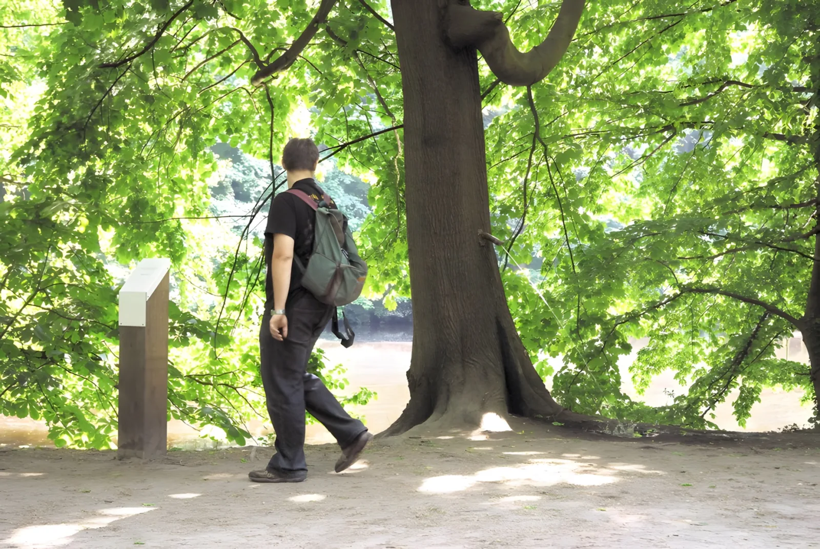 Der Pinkelbaum, Frankfurt