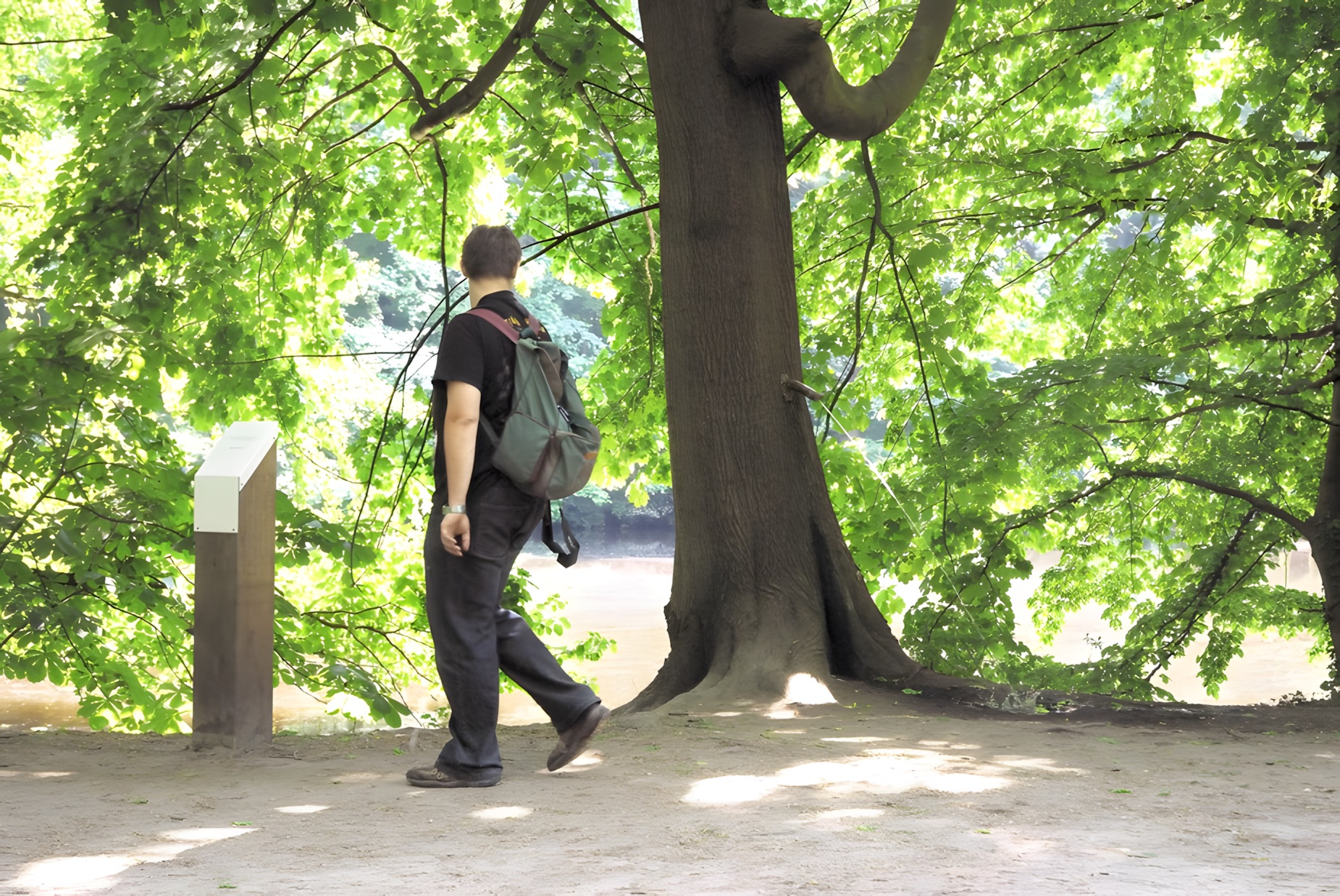 Der Pinkelbaum, Frankfurt
