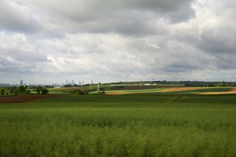 Portal Offenbach Landschaft COP2421