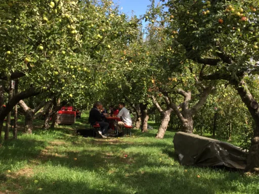 Regionalpark Obsthof am Steinberg (4)