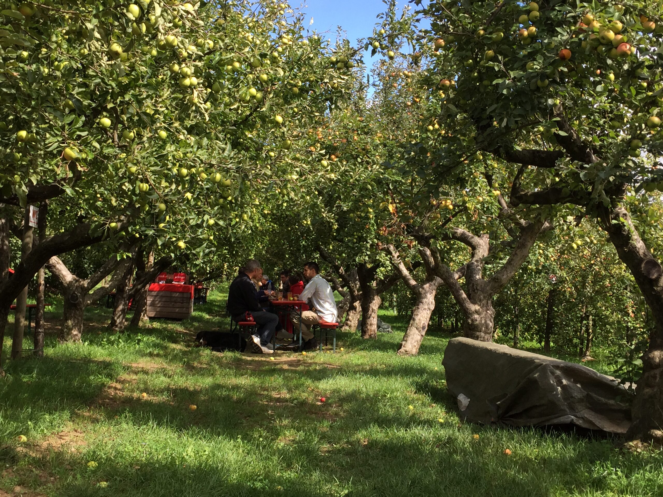 Regionalpark Obsthof am Steinberg (4)