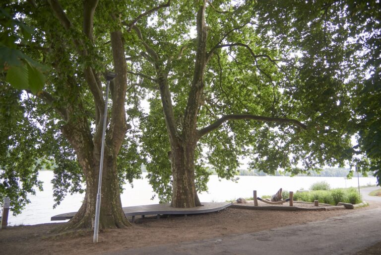 Regionalpark Rheingau Nikolausquelle Eltville