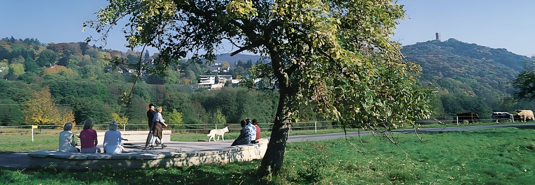 Sitzspirale Königstein