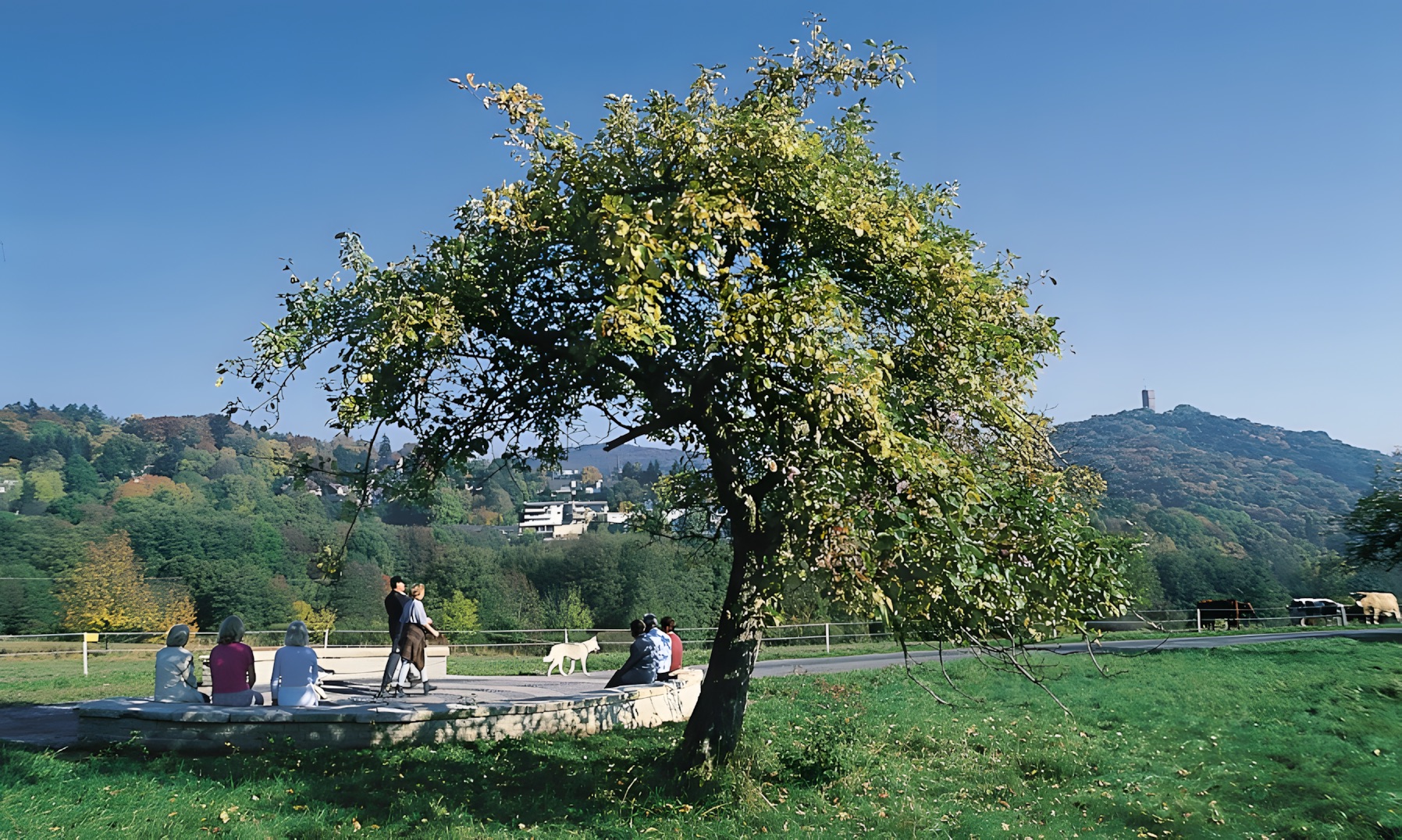 Sitzspirale Königstein