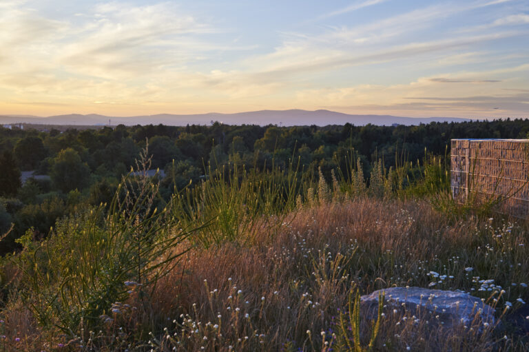 Stefan Cop Aussicht Oberwaldberg 2014 (20)