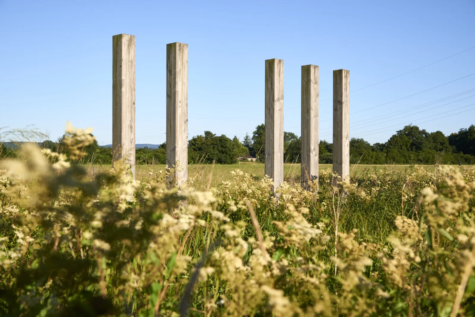 Limesstelen Erlensee