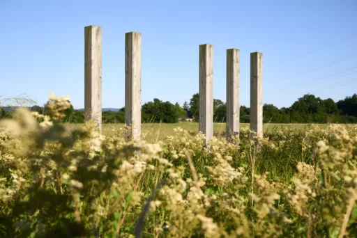 Stefan Cop Limes Limesroute