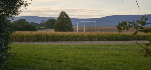 Stefan Cop Lindenbäumchen Oberursel 2019 (2)