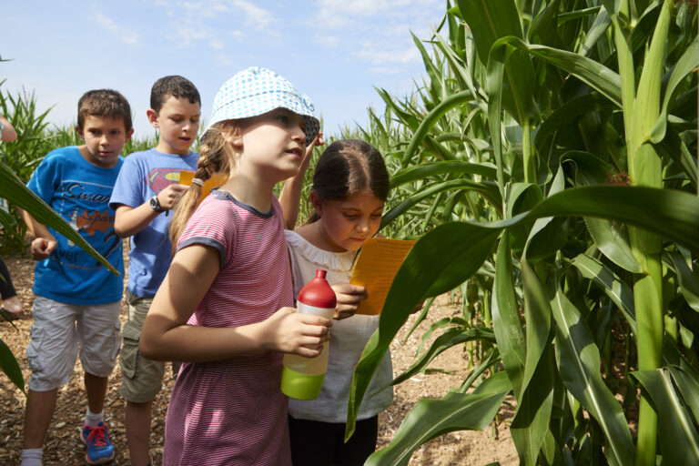 Stefan Cop Maislabyrith Oberursel (2)