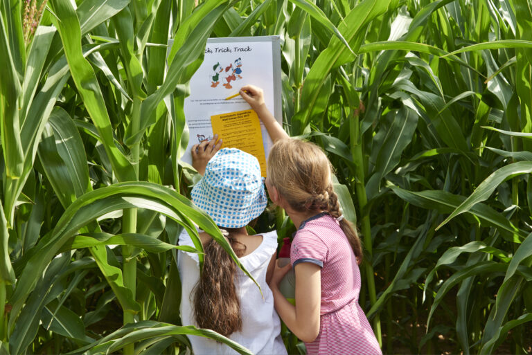 Stefan Cop Maislabyrith Oberursel (3)