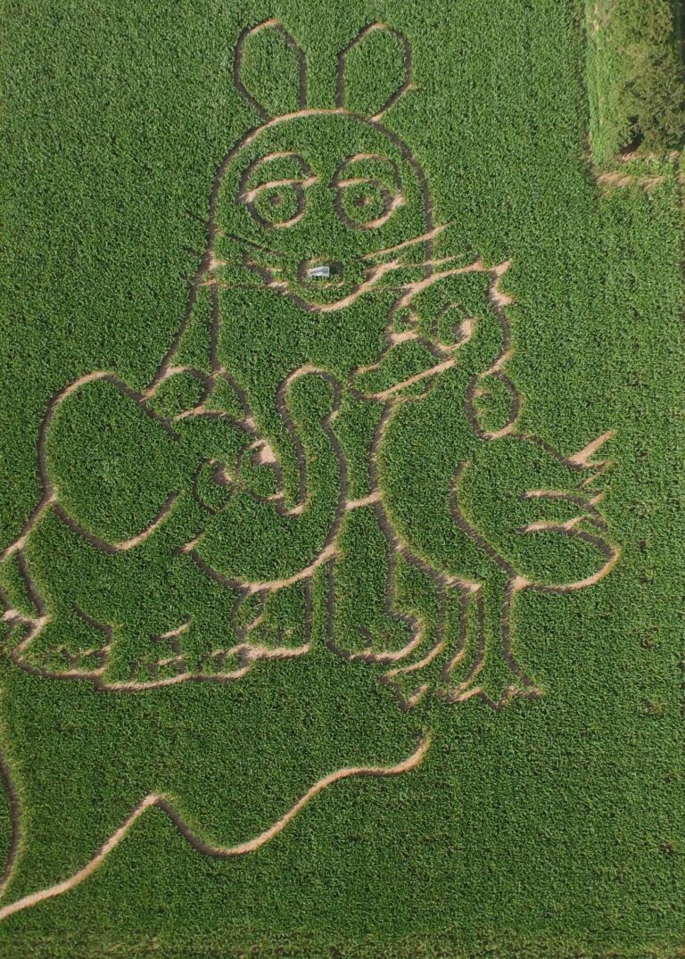 Stefan Cop Maislabyrith Oberursel (5)