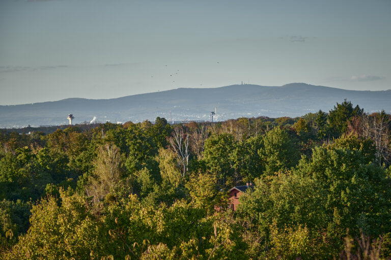 Stefan Cop Oberwaldberg 2022 (1)