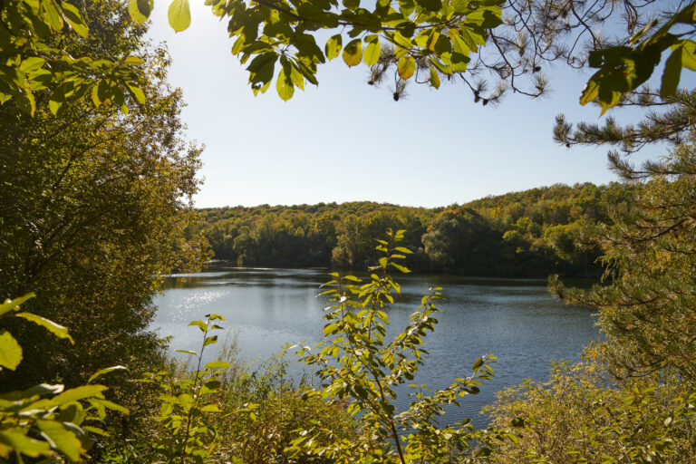 Stefan Cop Oberwaldberg 2022 (2)