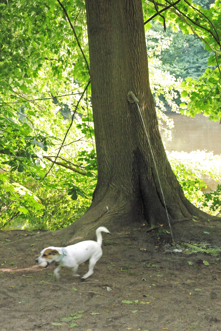 Stefan Cop Pinkelbaum Komische Kunst GrünGürtel (2)