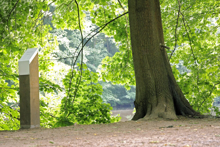 Stefan Cop Pinkelbaum Komische Kunst GrünGürtel (3)