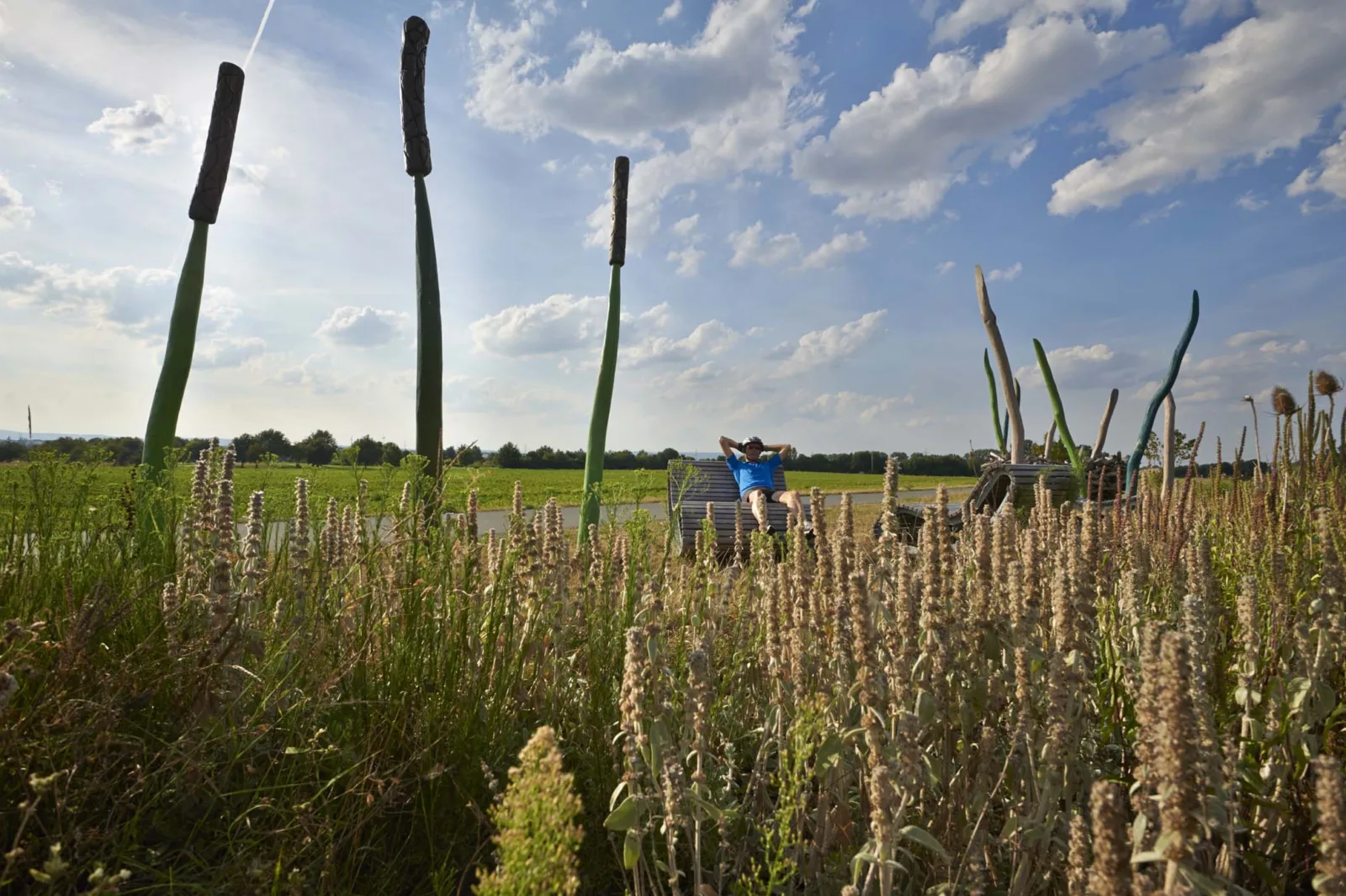 Regionalpark Niddaroute