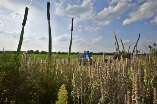 Stefan Cop Rohrkolben Niddaroute