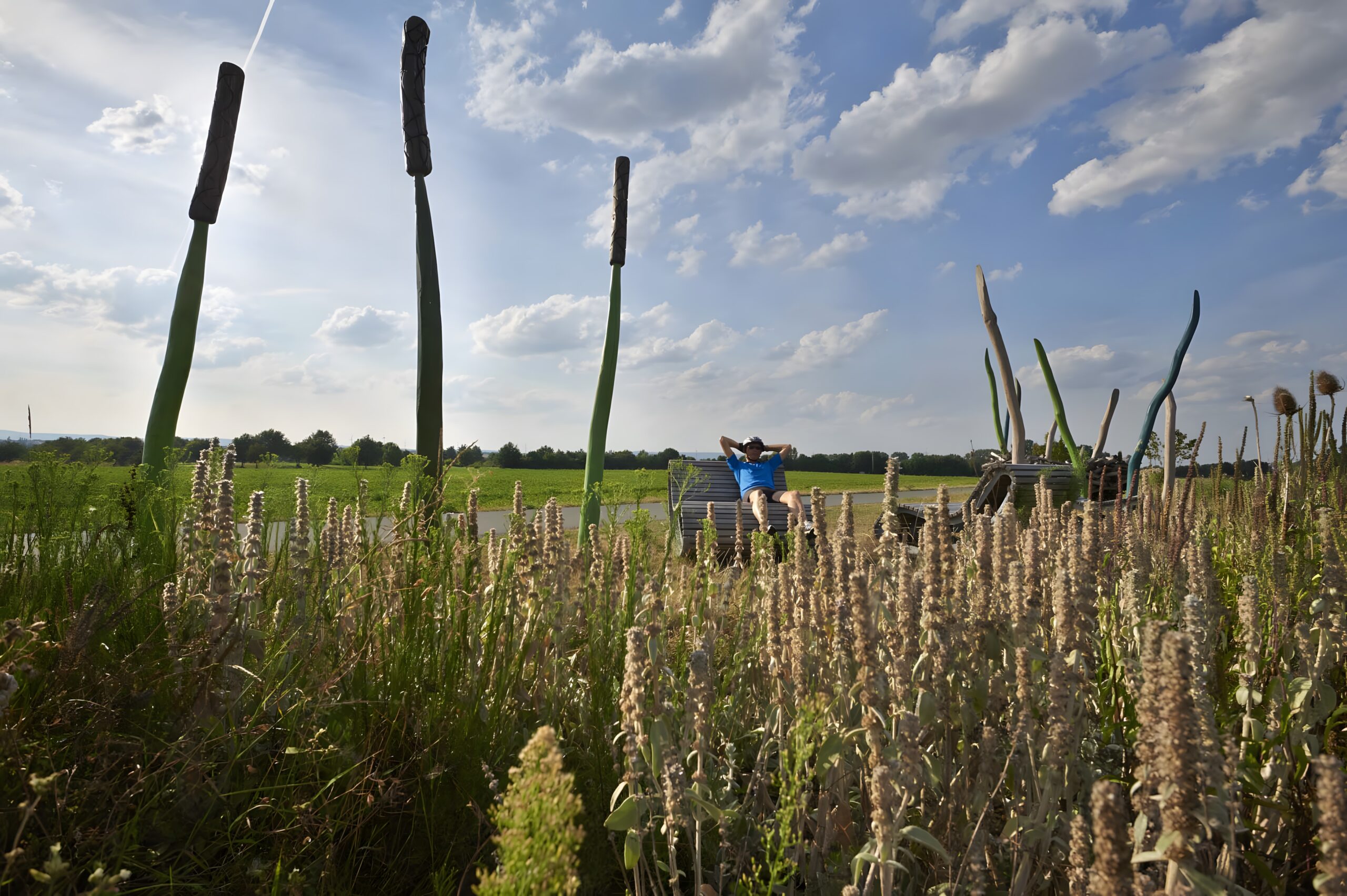 Regionalpark Niddaroute