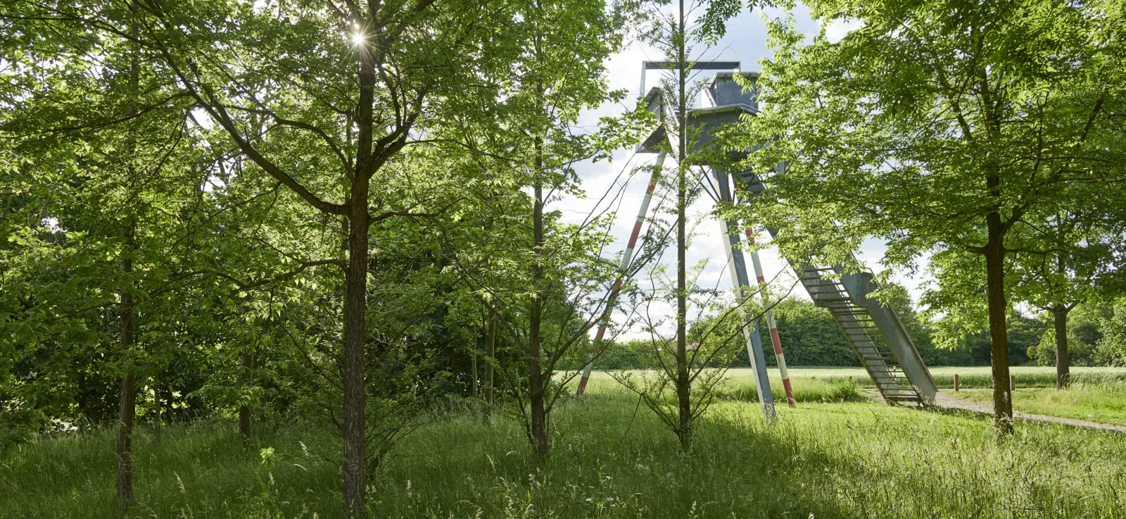 Sicht-Turm im Wetterpark Offenbach