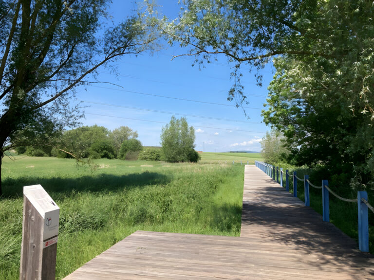 Steg ueber die Niederwiesen