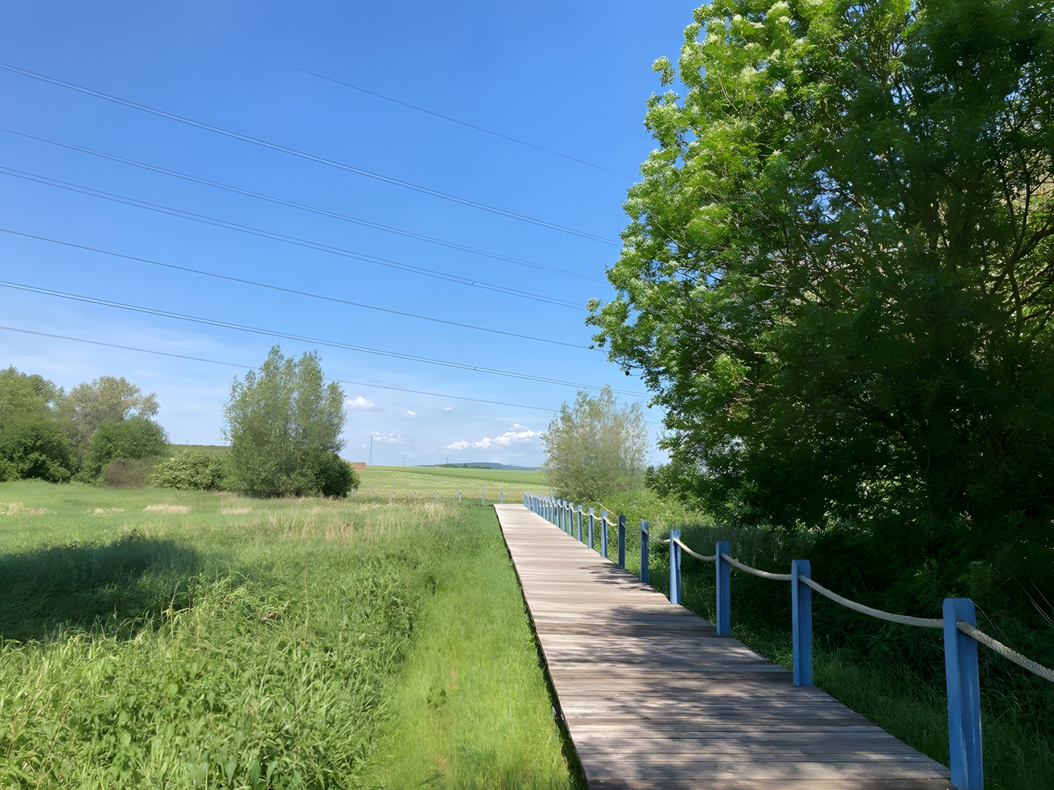 Steg ueber die Niederwiesen
