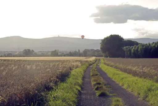 Taunus nähe Hölderlin COP2384