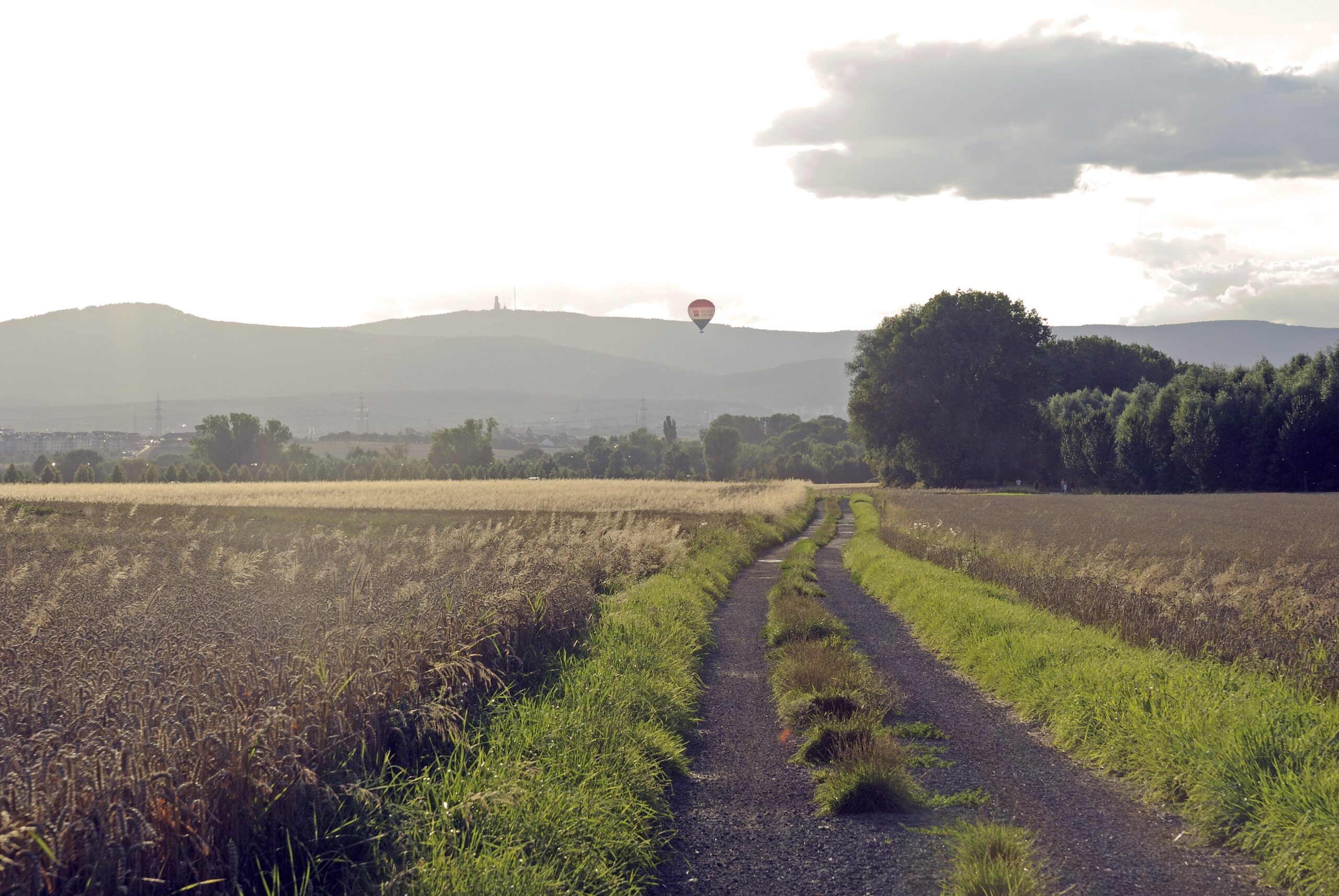 Taunus nähe Hölderlin COP2384