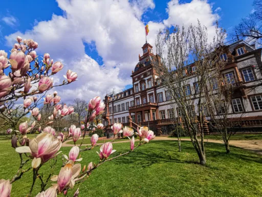 Urban Hiking Hanau Muehlheim Schlossanblick aus dem Park