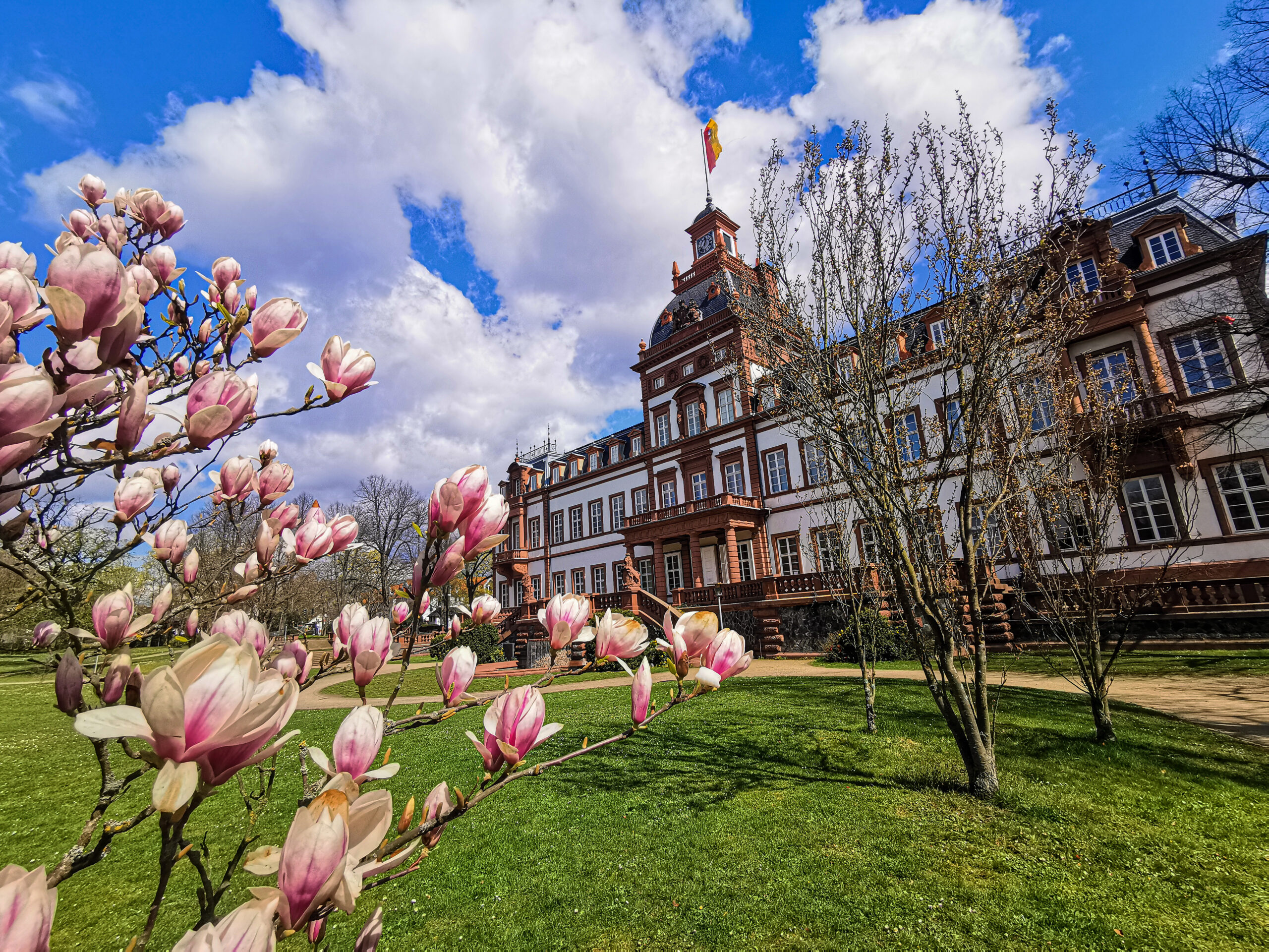 Urban Hiking Hanau Muehlheim Schlossanblick aus dem Park