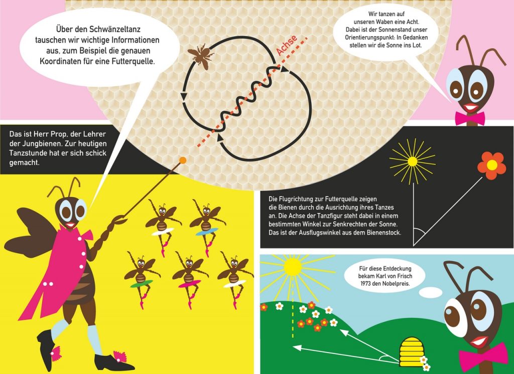 Wanderbienen GrapicNovels 0006 1024x746