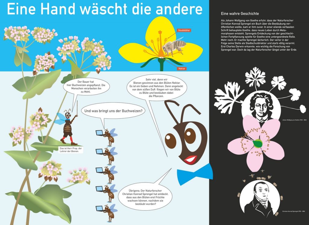 Wanderbienen GrapicNovels 0012 1024x746