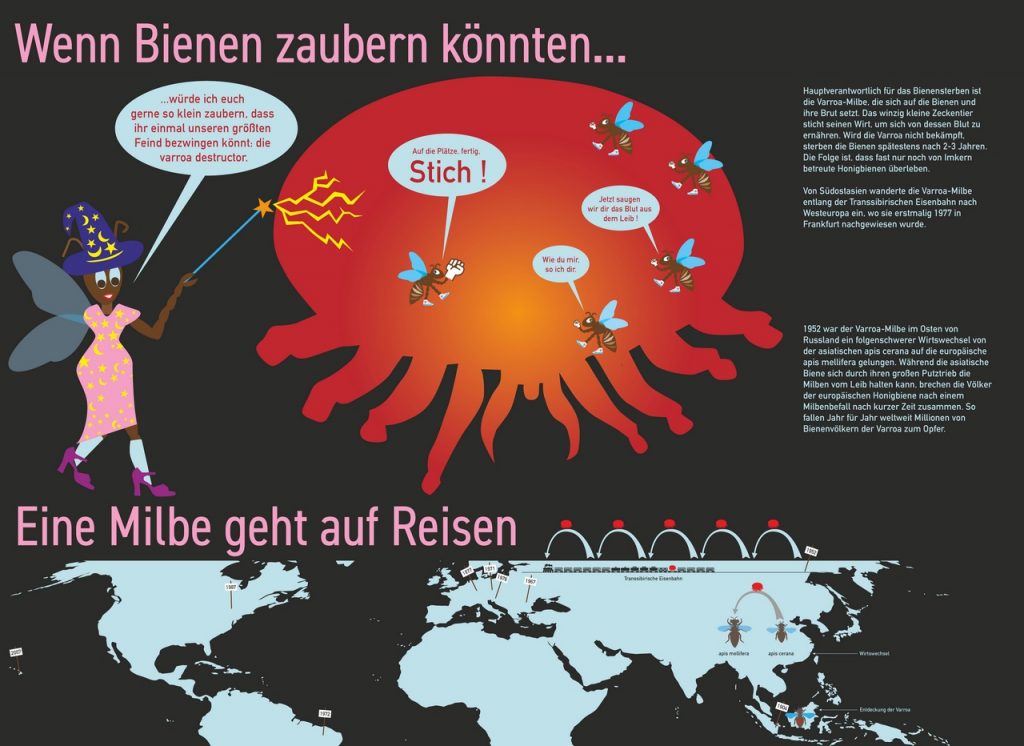 Wanderbienen GrapicNovels 0016 1024x746