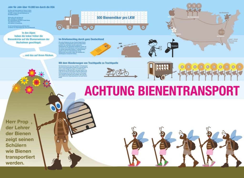 Wanderbienen GrapicNovels 0019 1024x746