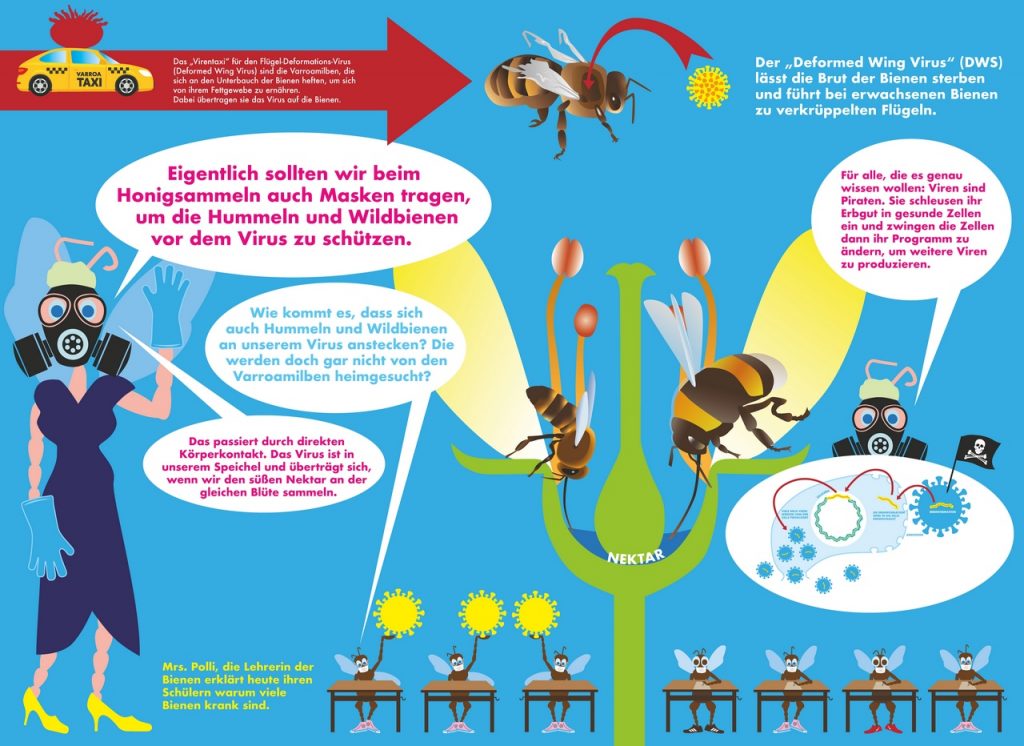 Wanderbienen GrapicNovels 0021 1024x746