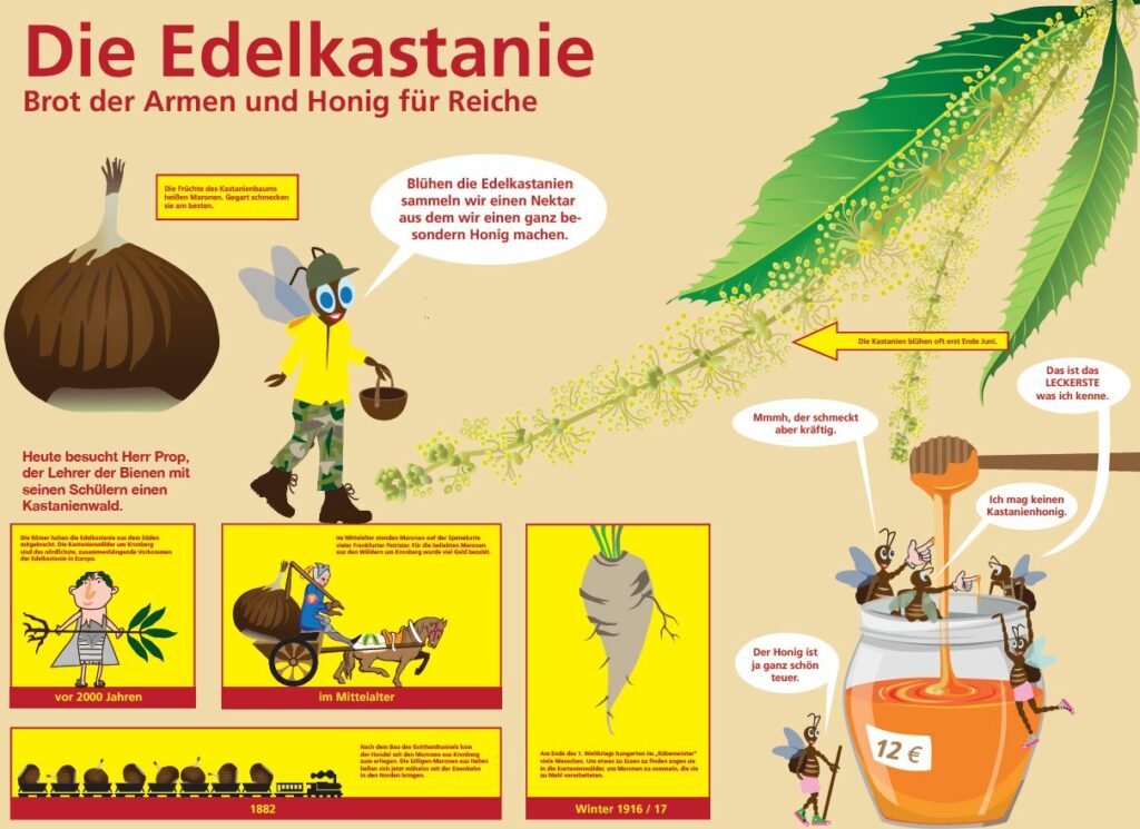 Wanderbienen GrapicNovels 0023 1024x745