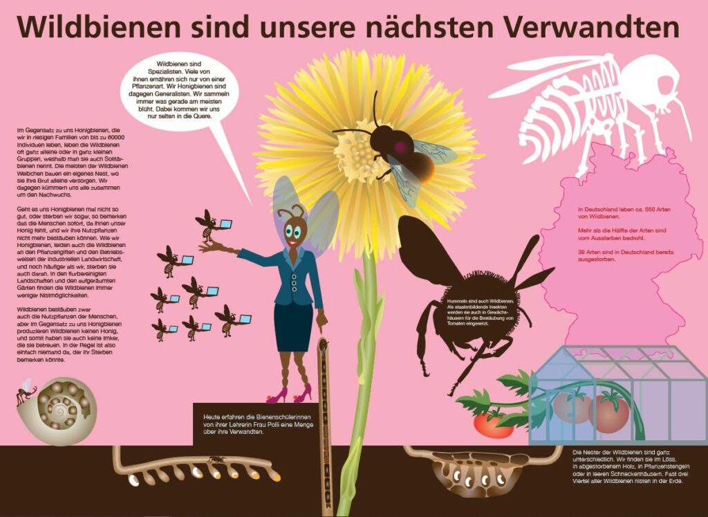 Wanderbienen GrapicNovels 0024 1024x747