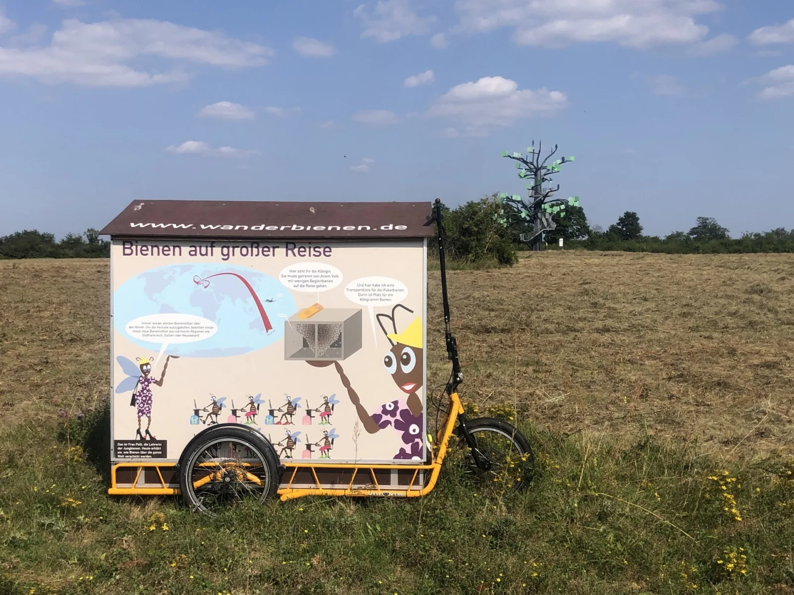 Wanderbienen Wiesenmuehle