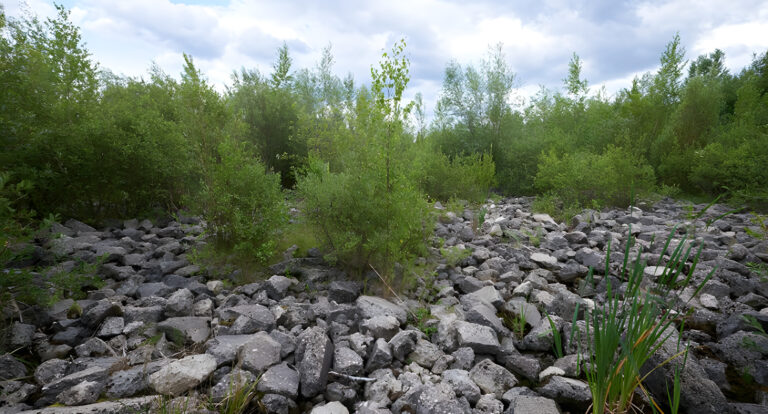 Alter flugplatz schollenfeld stefan cop COP7983 S 925x499