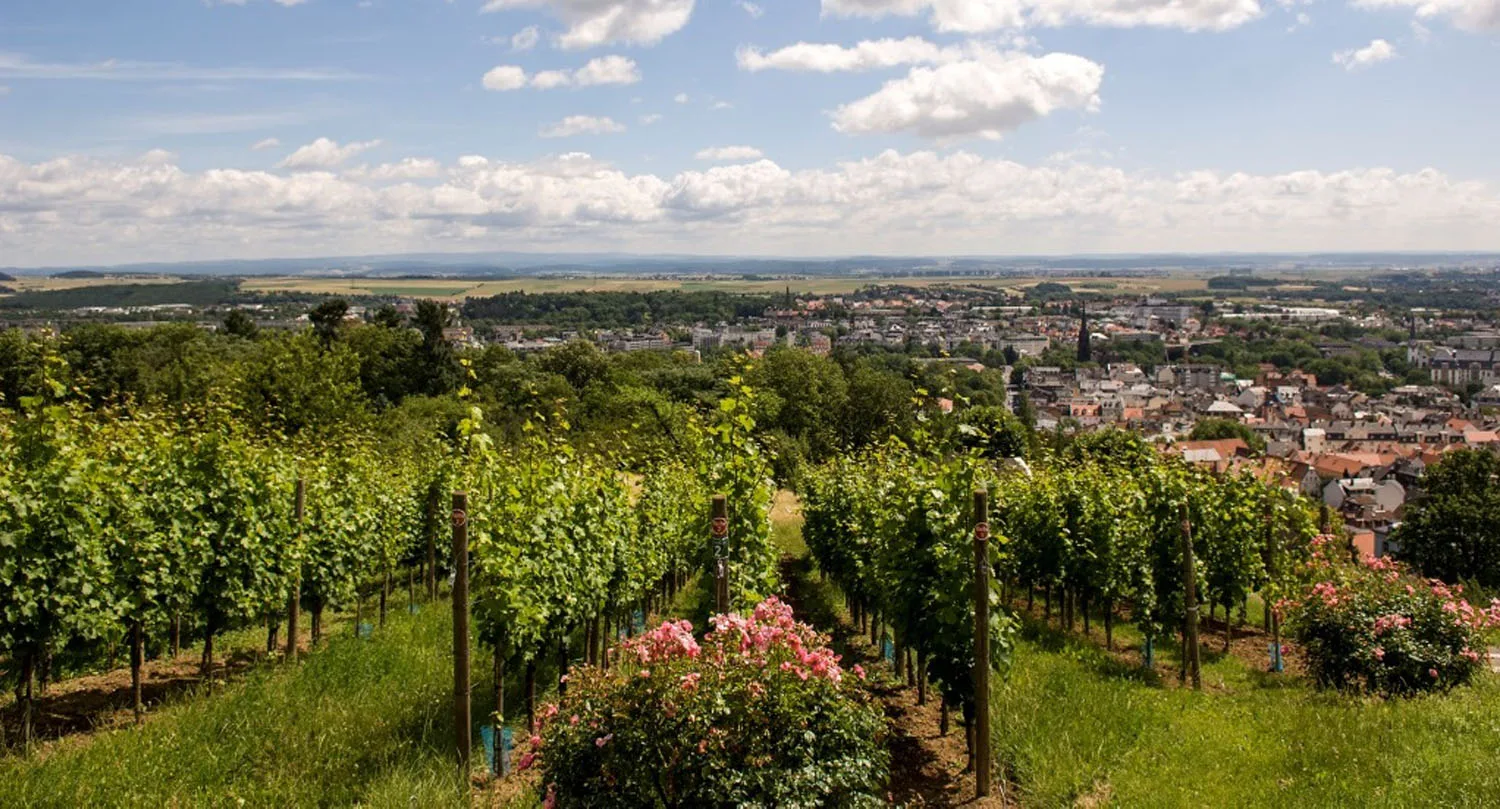 Obst- und Rosenanbau rund um Bad Nauheim