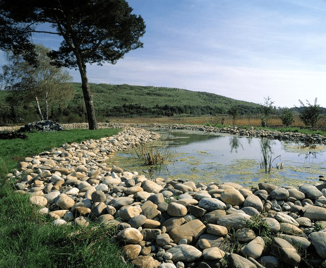Biotop am Oberwaldberg
