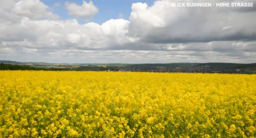 Blick buedingen hohe strasse